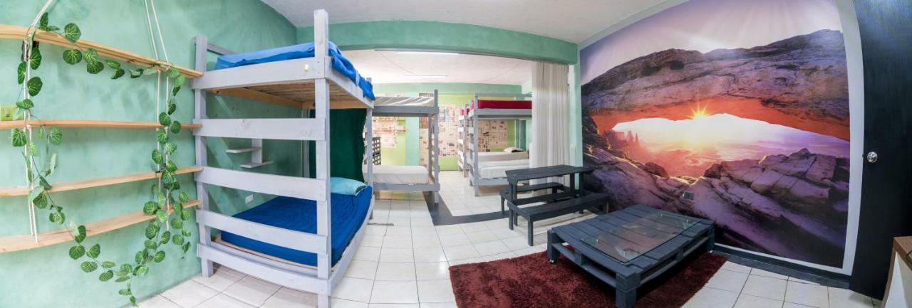 Hostal 50 Халапа Экстерьер фото